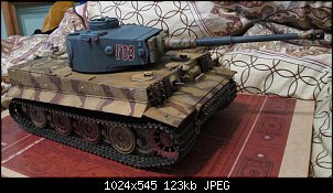     . 

:	Tiger48.jpg 
:	10 
:	123.5  
ID:	18968